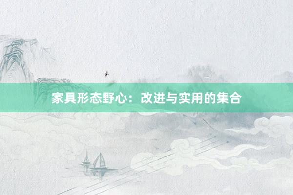 家具形态野心：改进与实用的集合