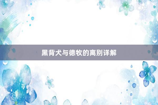黑背犬与德牧的离别详解