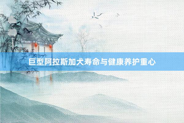巨型阿拉斯加犬寿命与健康养护重心